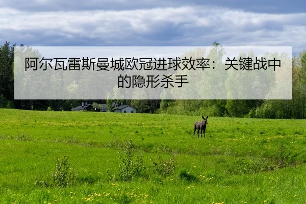 阿尔瓦雷斯曼城欧冠进球效率：关键战中的隐形杀手