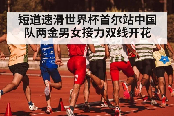 短道速滑世界杯首尔站中国队两金男女接力双线开花