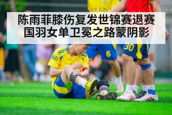 陈雨菲膝伤复发世锦赛退赛 国羽女单卫冕之路蒙阴影