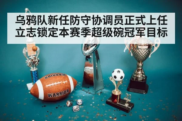 乌鸦队新任防守协调员正式上任立志锁定本赛季超级碗冠军目标