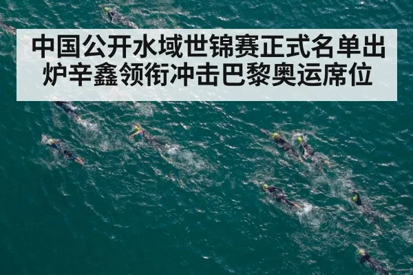 中国公开水域世锦赛正式名单出炉辛鑫领衔冲击巴黎奥运席位
